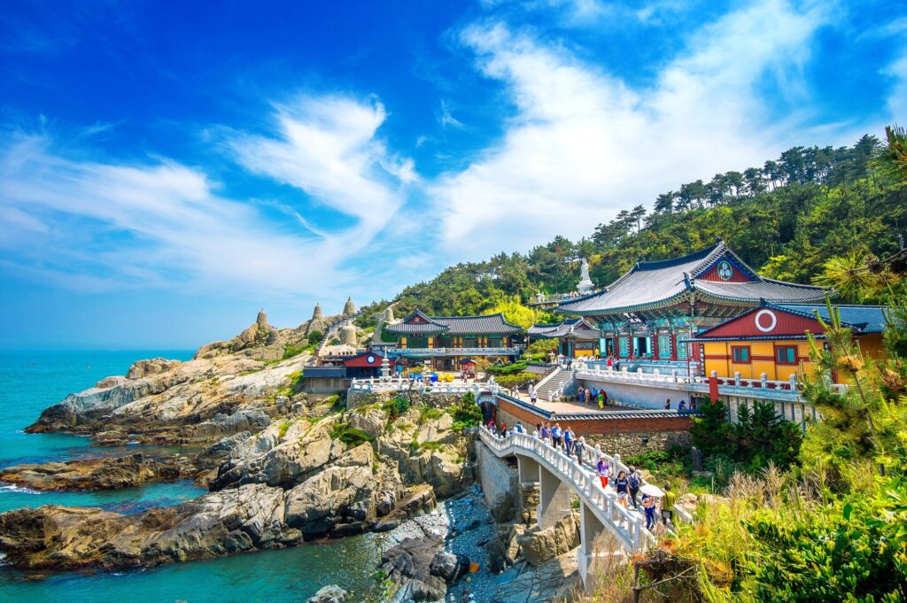 Embassy Camp Korea [Spring]