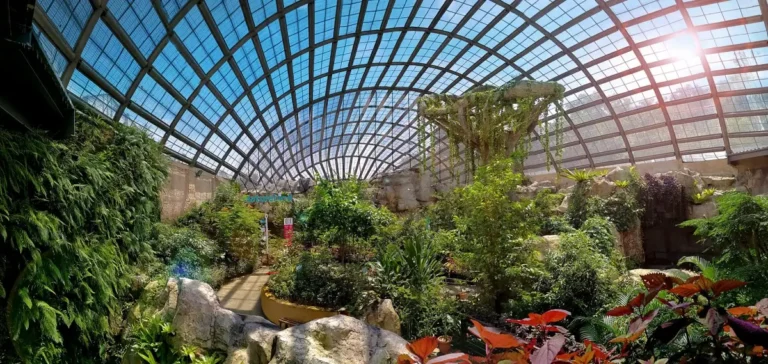 ai camps-Family camp in Malaysia-Entopia-adventure camps in malaysia