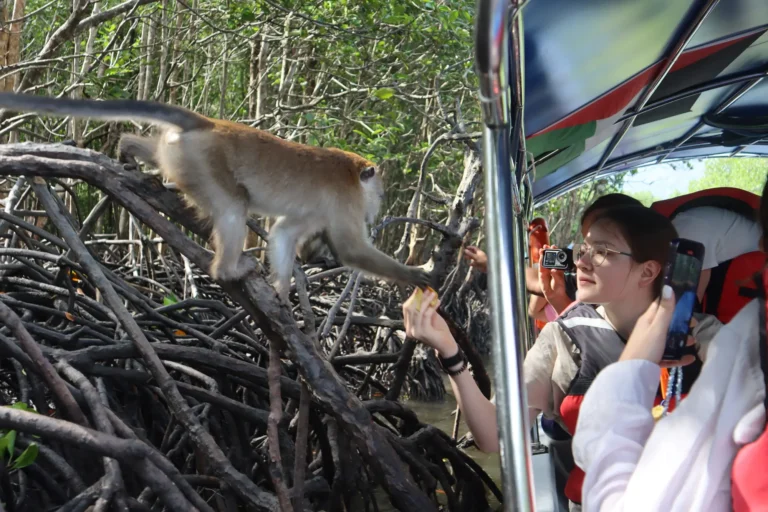 Holiday camp in malaysia-boy playing with monkey-University Camp in Malaysia-Family Camp in Malaysia