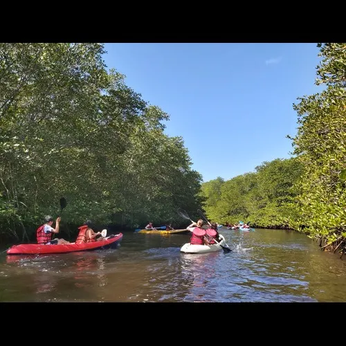 E-Explorer camp in bali