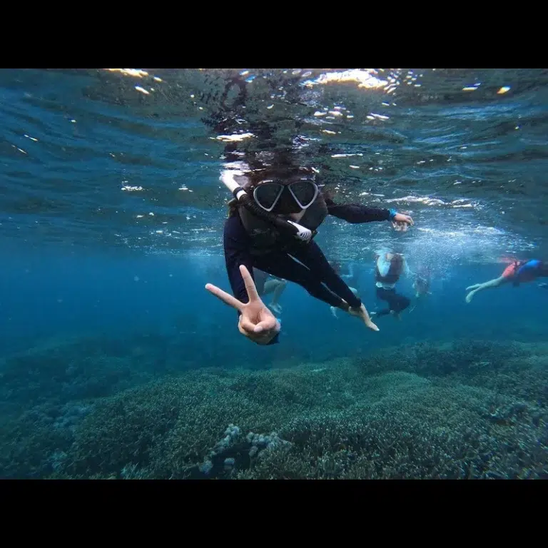 snorkeling-E-Explorer camp