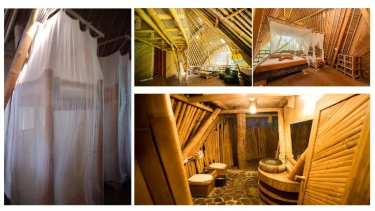 English Language camp