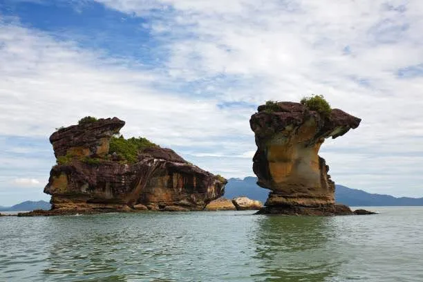 Bako National Park Sarawak, Attraction to Malaysia
