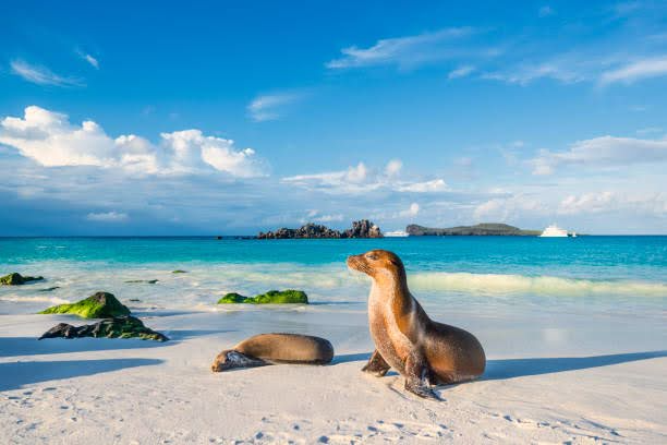 Galápagos Islands-school tour destinations