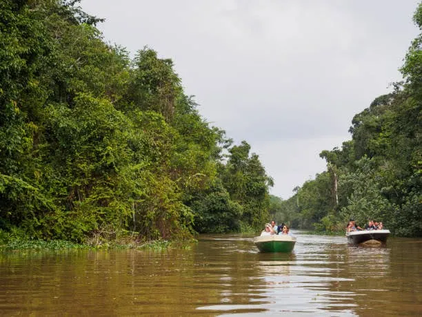 Kinabatangan River Safari Sabah