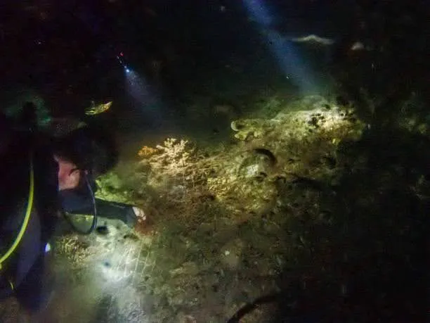 Tunku Abdul Rahman Marine Park-Sabah