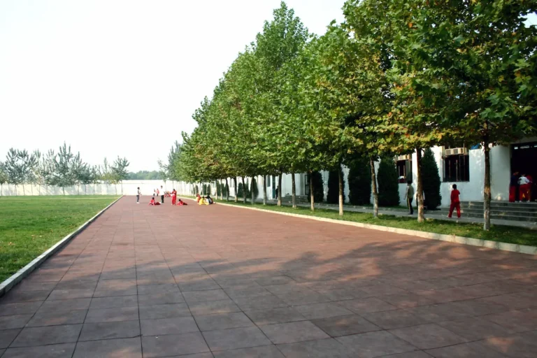 Chinese Language & Culture Summer Camp - Accomodation 4