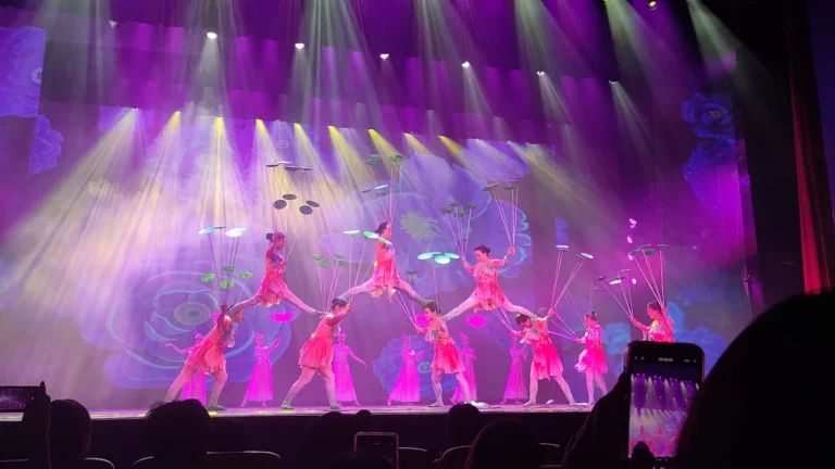 Chinese Language & Culture Summer Camp - Entertainment & Excursions 2