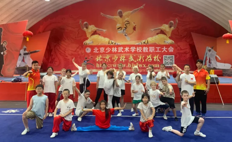 Chinese Language & Culture Summer Camp - Main Goals