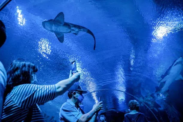 Aquaria KLCC-Kuala Lumper