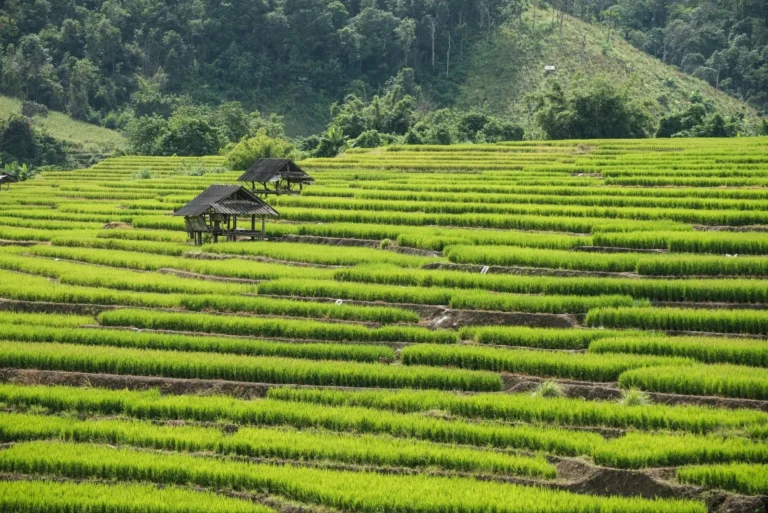 Chiang Mai, Thailand