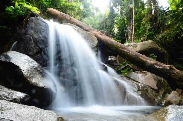 Gunang Gading National Park Sawarak, Attraction in Malaysia