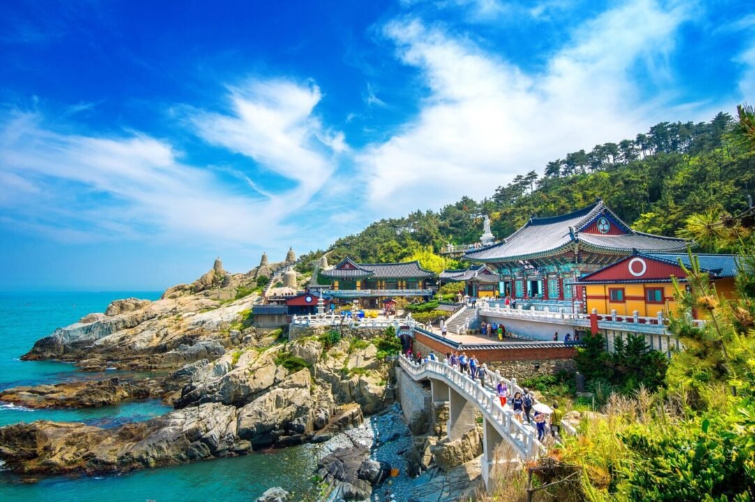 Embassy Camp Korea [Spring]