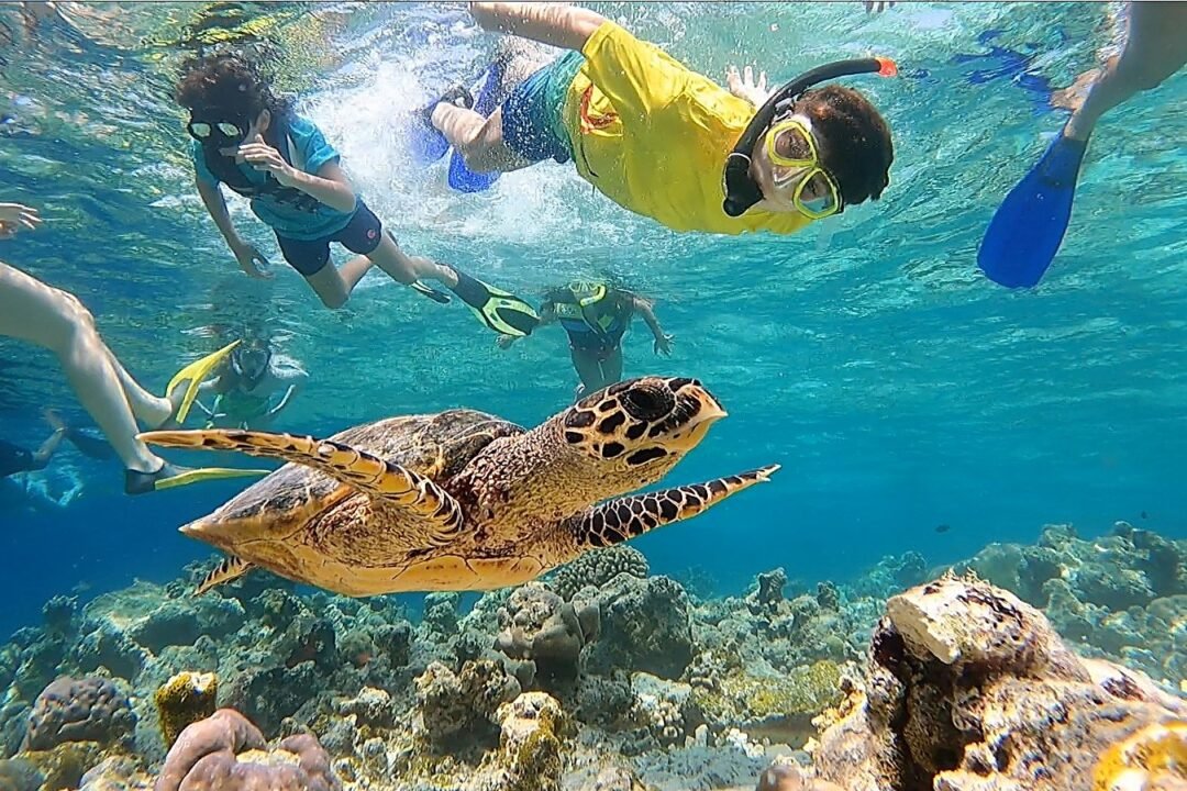 Maldives Winter Language Camp